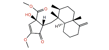 Dactylospongenone B
